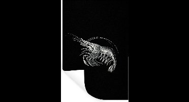 Muurstickers - Sticker Folie - Garnalen - Vintage - Ernst Haeckel - Dieren - Kunst - 20x30 cm - Plakfolie - Muurstickers Kinderkamer - Zelfklevend Behang - Zelfklevend behangpapier - Stickerfolie