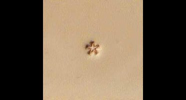 Tandy Leather leerstempel | Ster klein | 5 x 5 mm