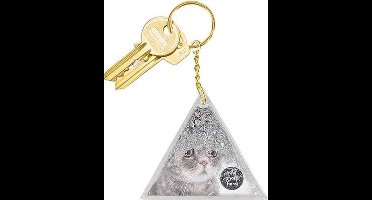 Doiy Sleutelhanger Aqua Glitter 11 Cm Polycarbonaat Zilver