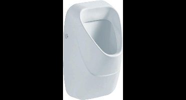 Geberit 300 urinoir met achterinlaat 34x34cm inclusief KeraTect wit