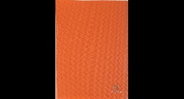 Exacompta 12x OPAK showalbum PP 5/10e - heldere tassen - 30 tassen - 60 zichten - A4 - Oranje - 88324E