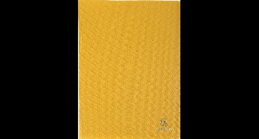 Exacompta 20x Showalbum met vaste rug - PP - 20 tassen - 40 zichten - A4 - Geel - 8529E
