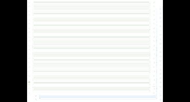 Exacompta 1000 listingbladen in zones verdeeld - 2 ex zelfkopiërend - 380x11 niet afscheurbare Caroll banden papier - Groen - 63612E