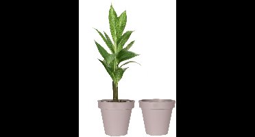 Pro Garden Bloempot - 2x - taupe - rond - D50 cm - kunststof - plantenpot - tuin buiten