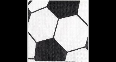 Servetten voetbal 20 stuks - 33x33cm - 2laags - EK/WK