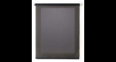 Storesdeco - Rolgordijnen, Doorschijnend rolgordijn Grijs, 80x180 cm