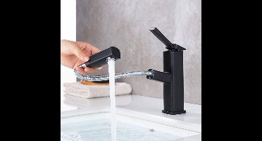 Boraboi® Moderne zwarte wastafelmengkraan met uittrekbare spuit en draaibare uitloop voor badkamercomfort