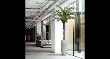 Majesty kunstpalm x10 YG-Trunk 300cm