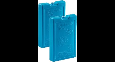 Plasticforte Koelelementen van 1000 gram - 8x stuks - blauw - 22 x 14.5 x 3.5 cm - voor koeltas en koelbox