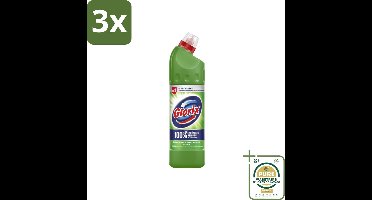 3 x Glorix - Bleek - Dennen - Bescherming tegen Kalkaanslag - 750 ml - Grootverpakking - Toiletreiniger - Kalkaanslag - Hygiëne - Bleek - Dennengeur