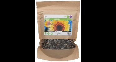 Reuzenzonnebloem Zaden Grootverpakking 250 gram voor 200 m2