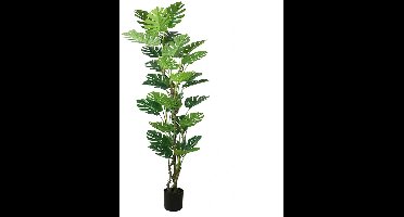 Kunstplant Monstera op stam - 200cm