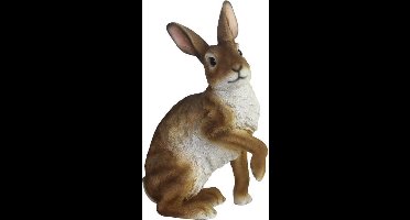 Esschert Design Haas 23,9 X 11,2 Cm Polyresin Bruin/wit