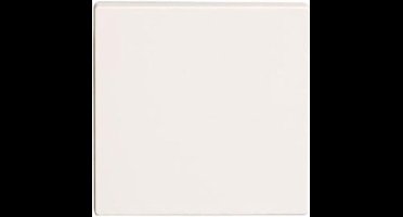 Schneider Electric Merten Systeem M Schakelelement/Centrale Plaat - MTN432125 - E34P2