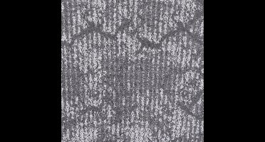 Vloerkleed Xilento Discovery Grey | 200 x 300 cm