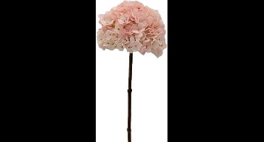 Kunstbloem hortensia 66 cm, creme/roze