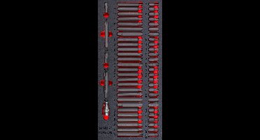 Bitsset in foam tray Ribe- Spline- HEX- TORX 59 delig MW Tools MWBIT59
