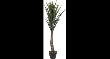 Mica Decorations Yucca Kunstplant - H120 x Ø60 cm - Groen