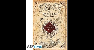 Harry Potter Marauder's Map Unisex Poster - meerkleurig - Standard