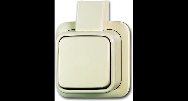 ABB Busch-Jaeger Surface-Mounted Standard Installatie Schakelaar - 2CKA001042A1010 - E2MF8