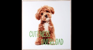 Present Time - Wall Art Puppy Cuteness Overload - Multicolor