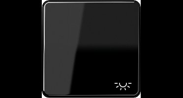 JUNG CD500 schakelwip en lichtsymbool zwart