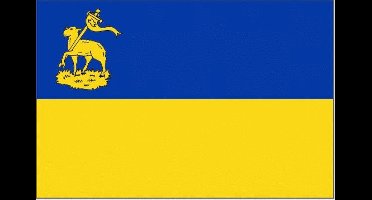 Vlaggetje Velsen 20x30cm