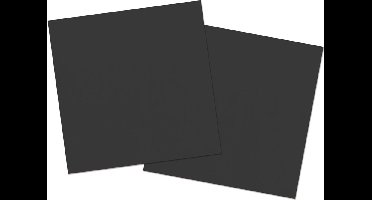 Folat Feest Servetten - 40x - zwart - 33 x 33 cm - papier - lunch/diner servetjes