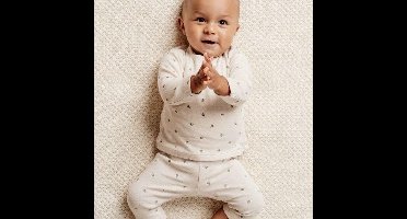 Little Dutch Shirt lange mouw - Maat 62 - T-shirt Jongens & Meisjes - Green Leaves, Beige - Little Farm