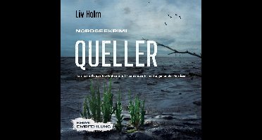 Nordseekrimi Queller: Ein mitreißender Küstenkrimi mit spannenden Ermittlungen an der Nordsee - Krimi Empfehlung