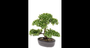 Emerald - Kunstplant Bonsai Ficus mini 32cm - Kunstplant voor binnen