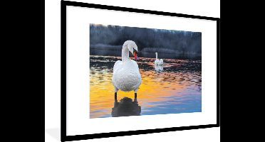 PosterMonkey - Poster - Fotolijst - Zwaan - Vogel - Zonsondergang - Water - 120x80 cm - Poster natuur - Poster in lijst - Foto lijst - Poster vogels - Kader - Posterlijst