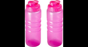 Plasticforte Drinkfles/waterfles/bidon - 2x stuks - 650 ml - transparant/roze - kunststof