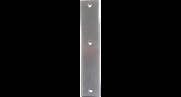 Ami 215230 Langschild aluminium 251/50/8 F1 geheel blind F1