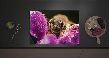Inductie Beschermer - Honingbij tussen Paarse Pluizige Bloemen - 70x52 cm - 2 mm Dik - Inductieplaat Beschermer met zwarte kern