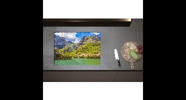 Inductieplaat Beschermer - Bos met Bomen op Rotsen aan het Water - 70x50 cm - 2 mm Dik - Inductie Beschermer - Bescherming Inductiekookplaat - Kookplaat Beschermer van Zwart Vinyl