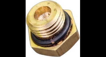 Deltaline Pompplug 1/4" voor pomphuis saer, calpeda, ebara, Leo, pedrollo, foras pompen