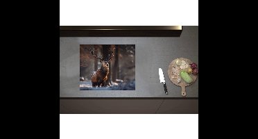 Inductieplaat Beschermer - Besneeuwt hert in een bos in de winter - 60x50 cm - 2 mm Dik - Inductie Beschermer - Bescherming Inductiekookplaat - Kookplaat Beschermer van Wit Vinyl