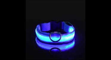 New Age Devi - LED honden halsband - Blauw XL