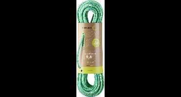 Edelrid Eagle Lite Eco Dry 9.5 mm licht en duurzaam geïmpregneerd 60M groen