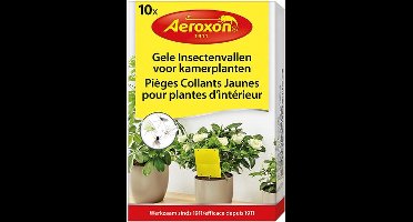 Aeroxon – Rouwvliegjes bestrijden – Aaltjes tegen rouwvliegjes – rouwvliegjes plakstrips – Fruitvliegjes vanger – Vliegenvanger - gele insectenvallen voor kamerplanten – 10 stuks