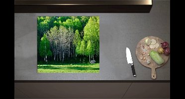 Inductieplaat Beschermer - Aan de Rand van Bos Vol Felgroene Bomen - 60x55 cm - 2 mm Dik - Inductie Beschermer - Bescherming Inductiekookplaat - Kookplaat Beschermer van Zwart Vinyl