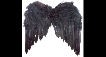Zwarte veren vleugels