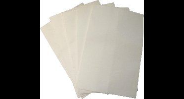 Scheppach Papieren Stofzakken voor de HA1000 Stofafzuiger - 5 stuks