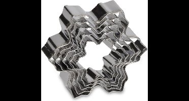 uitsteekvormen Sneeuwvlok 7,9 cm RVS zilver 5-delig