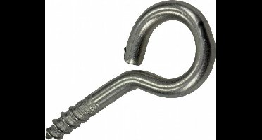 RVS Schroefoog 2 stuks 4,0 x 30 mm. lang. Sam. Waslijnhaak.