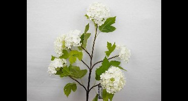 SENSE Viburnum Roseum - Gelderse Roos x6 cream 60cm - Zijdebloem - Kunstbloem - Vensterbank decoratie - Boeket bloem - Bloem wit