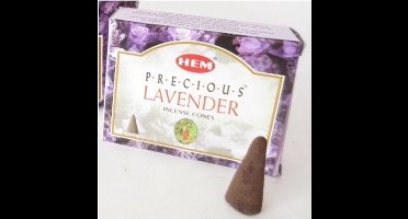 HEM Wierook kegeltjes in huisgeur Lavendel - 20x kleine kegeltjes - Ontspannend - Kalmerend