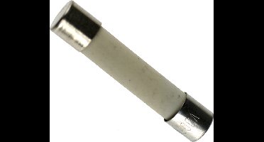 UNIVERSEEL - ZEKERING MICROWAVE 6.3X32MM 20A SET10 -