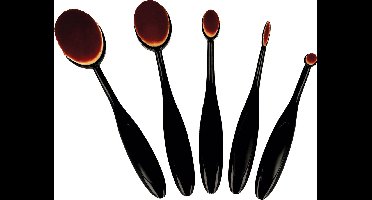 Set van 5 inktpenselen